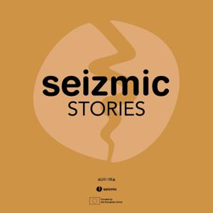 seizmic stories