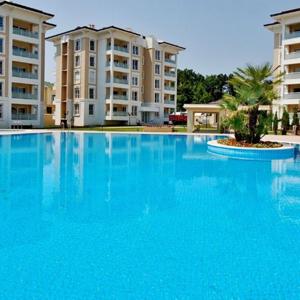 Pool builders wellington