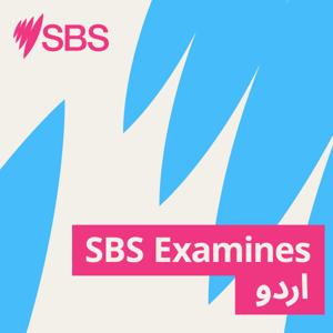 SBS Examines اردو