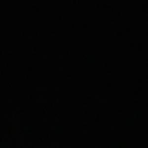 Orca Podcasts Inc.