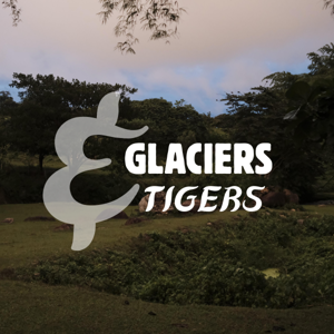 Glaciers&Tigers