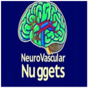 Neurovascular Nuggets: Your Weekly Dose of Neurovascular Innovation
