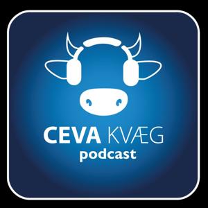 CEVA KVÆG