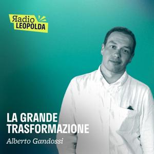 La grande trasformazione - A. Gandossi