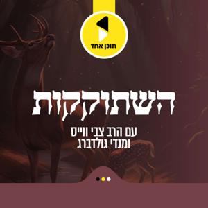 השתוקקות | עם הרב צבי ווייס ומנדי גודלברג