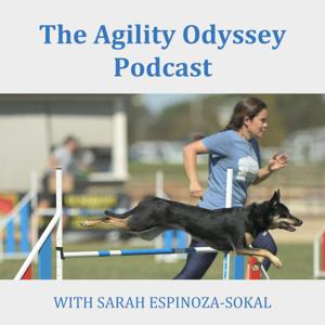 The Agility Odyssey Podcast