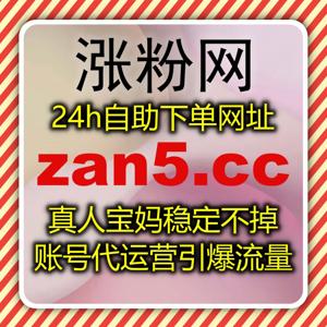 多平台内容精细化分发与自动化执行体系在稳定增长中的应用路径