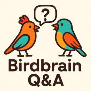 Birdbrain Q&A