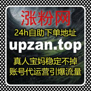 在线全自动下单｜垂直平台数据精耕，专业账号权重快速涨