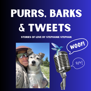 Purrs, Barks and Tweets with Love