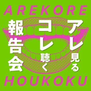 アレ見るコレ聴く報告会