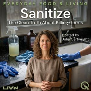 Sanitize