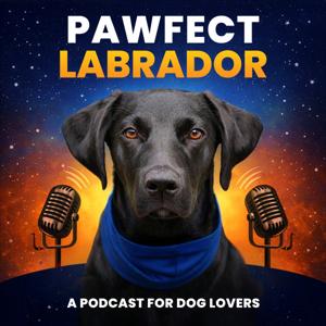 Pawfect Labrador