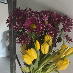 Lo Que se cuenta en una camilla