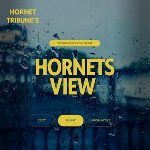 Hornets view