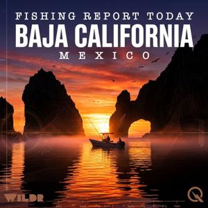 Baja California, Mexico Fishing Report Today