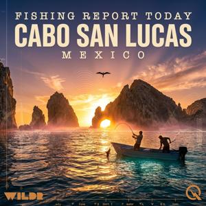 Cabo San Lucas, Mexico Fishing Report Today