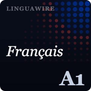 Learn French A1 with News | Slow Easy French for Beginners