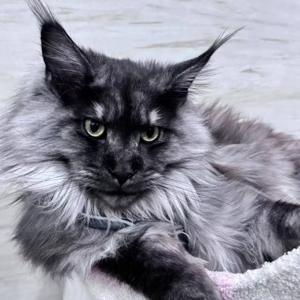 八方斋·干活听 | 真实故事·历史点滴