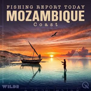 Mozambique, Coast Fishing Report Today