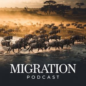 Migration