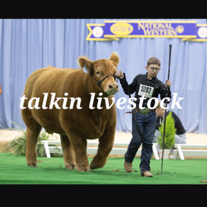 Talkin livestock
