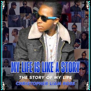 My Life Is Like A Story (MLILAS)