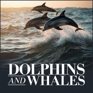 Dolphins and Whales