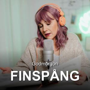 Godmorgon FINSPÅNG!