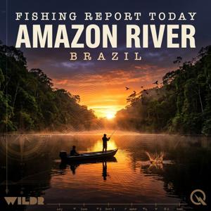 Amazon River, Brazil Fishing Report Today