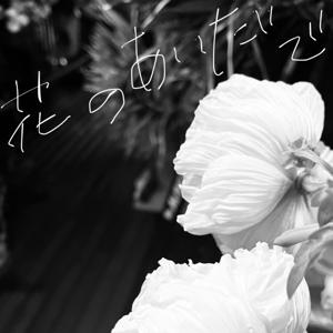 花のあいだで