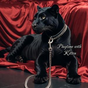Playtime with Kitten