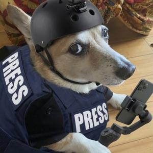 COVERT CORGI MARGO’S OUTLAW BARKER PODCAST