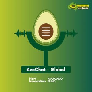 AvoChat - Global