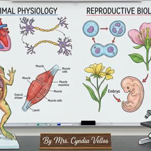 Mrs. Cyndia's Biology Class