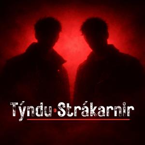 Týndu Strákarnir: Hlaðvarp um kerfið, veggina og afleiðingarnar