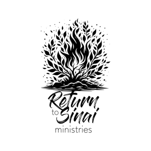 Return to Sinai