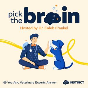 Instinct Pick the Brain Podcast