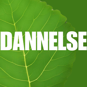 Dannelse