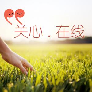 关心.在线