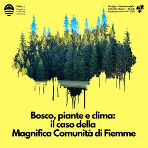 Bosco, piante e clima: il caso della Magnifica Comunità di Fiemme