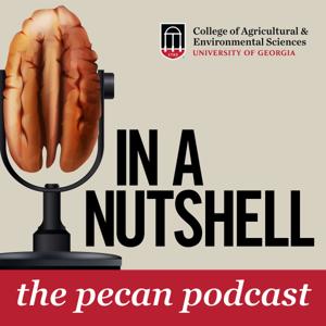 In a Nutshell: The Pecan Podcast