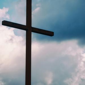 Build Each Other Up: Weekly Bible Walk