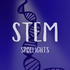 STEM Spotlights