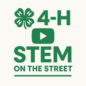 4-H STEM on the street