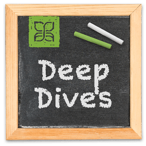 Deep Dives