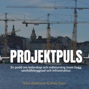 Projektpuls