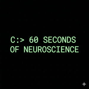 60 Seconds of Neuroscience