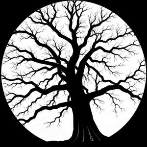 Knowing Our Place
