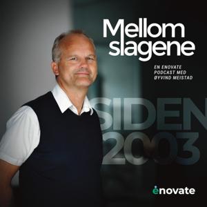 Mellom slagene